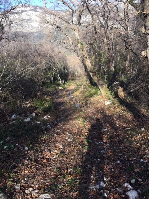 Земля в Баре, Черногория, 1 000 м² - фото 4