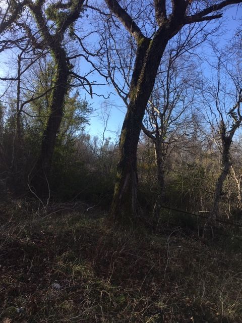 Земля в Баре, Черногория, 1 000 м² - фото 5