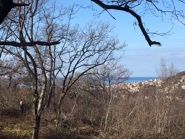 Земля в Баре, Черногория, 1 000 м² - фото 6