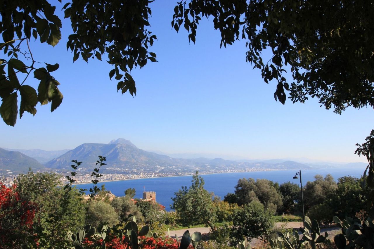 Земля в Алании, Турция, 2 212 сот. - фото 2