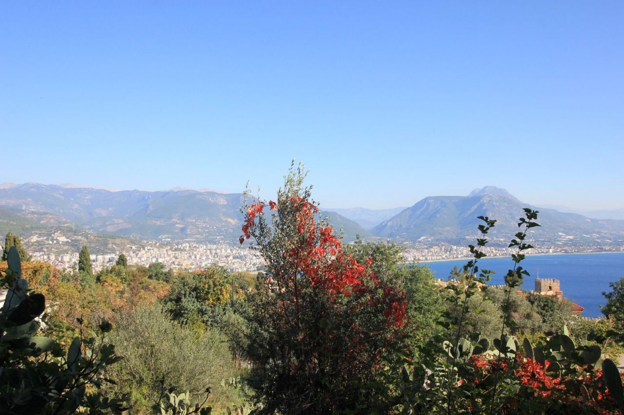 Земля в Алании, Турция, 2 212 сот. - фото 3