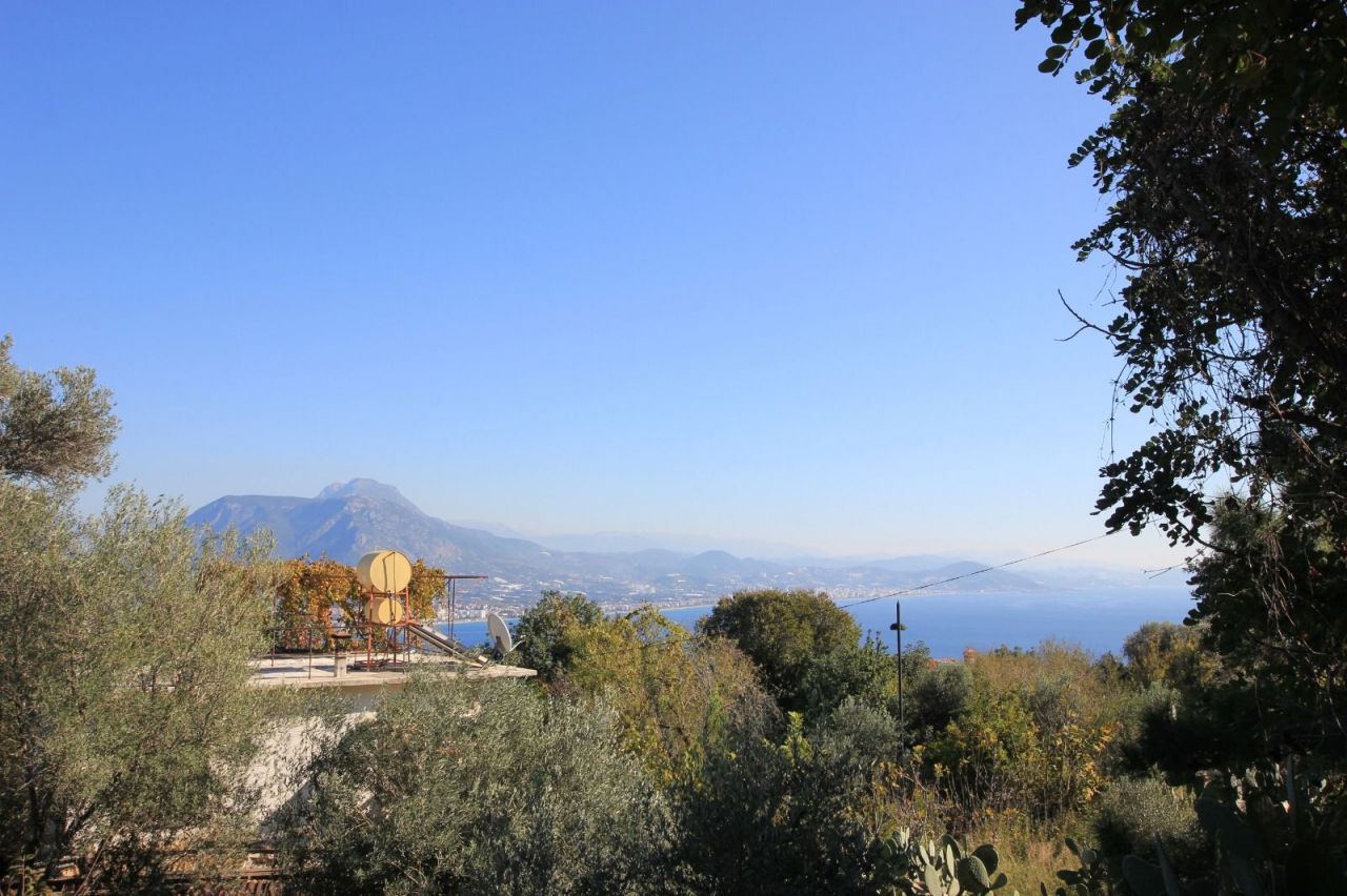 Земля в Алании, Турция, 2 212 сот. - фото 10