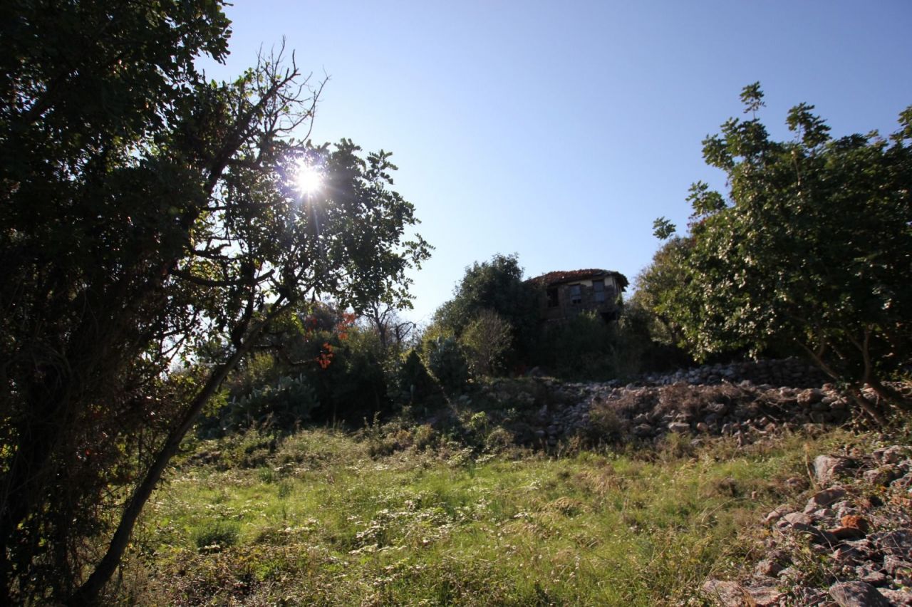 Земля в Алании, Турция, 2 212 сот. - фото 9