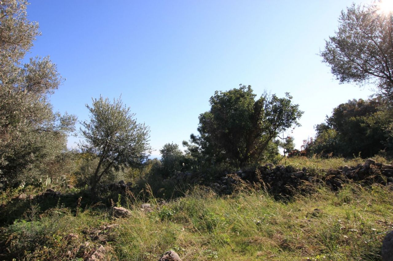 Земля в Алании, Турция, 2 212 сот. - фото 8