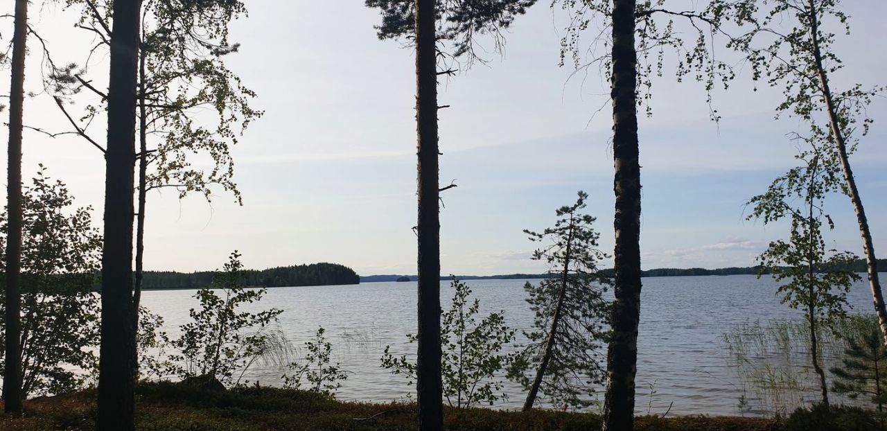 Коттедж в Пункахарью, Финляндия, 55 м2 - фото 1