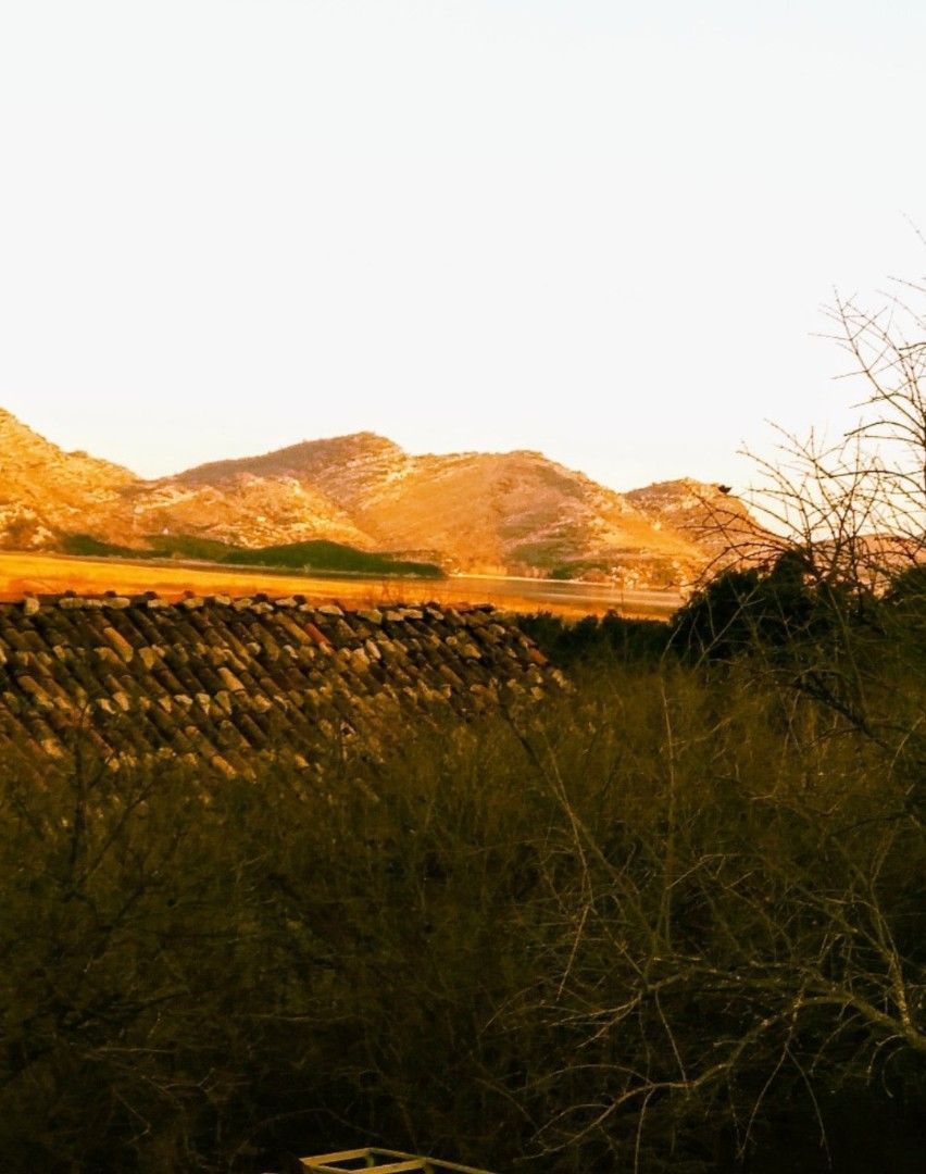 Земля на Скадарском озере, Черногория, 11 000 м² - фото 4