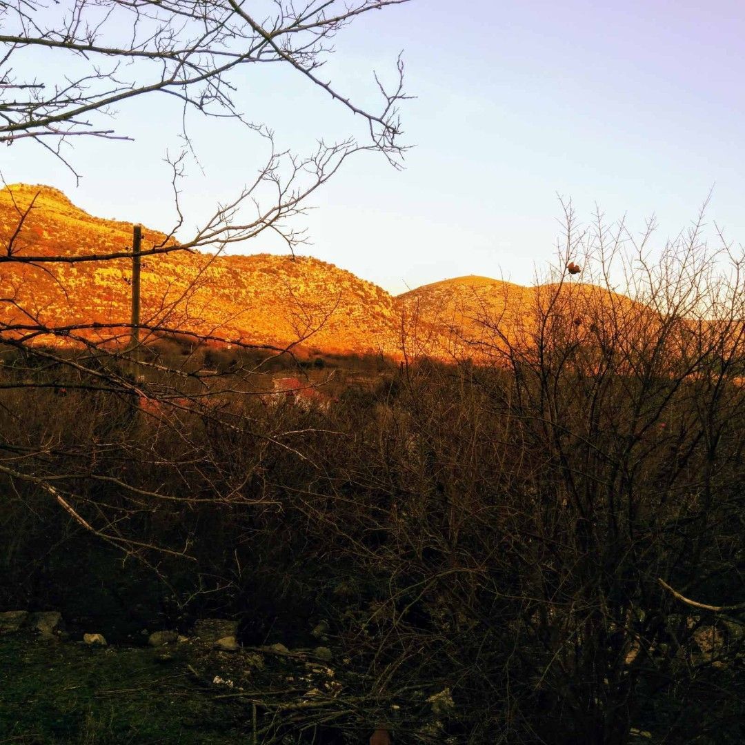 Земля на Скадарском озере, Черногория, 11 000 м² - фото 8