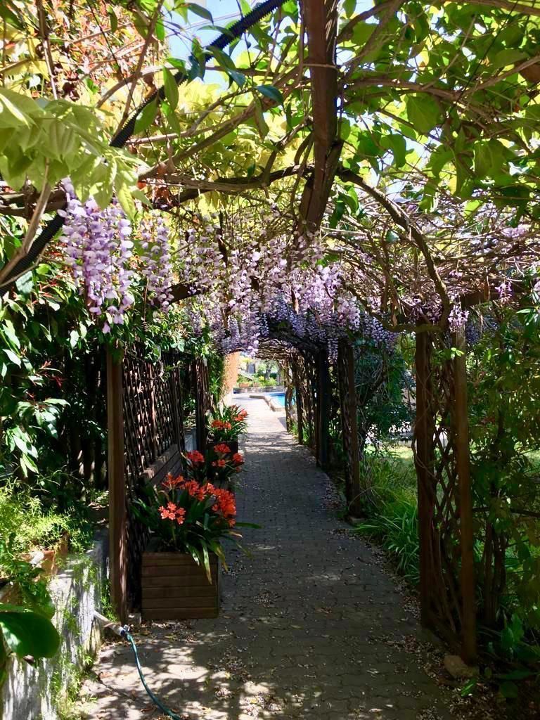 Вилла в Сан-Ремо, Италия, 300 м² - фото 9