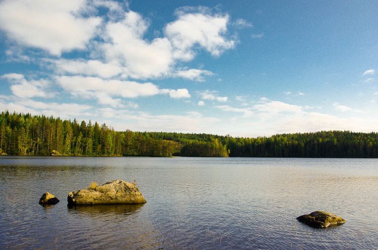 Земля в Иматре, Финляндия, 0.6 Га - фото 1