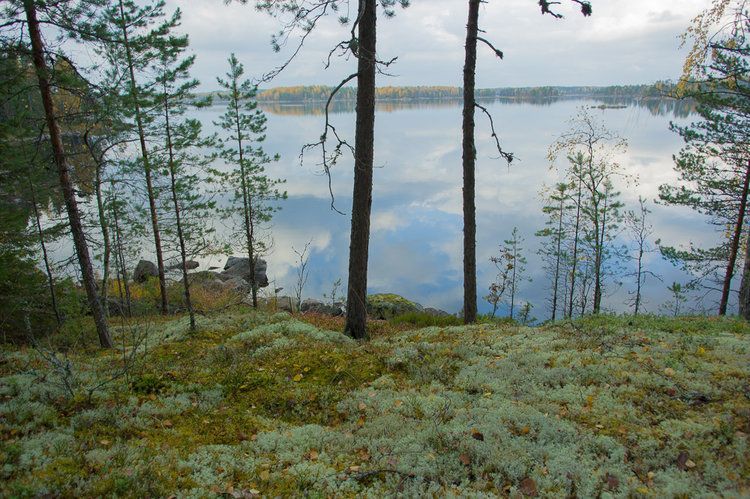 Земля в Савонлинне, Финляндия, 2.5 Га - фото 1
