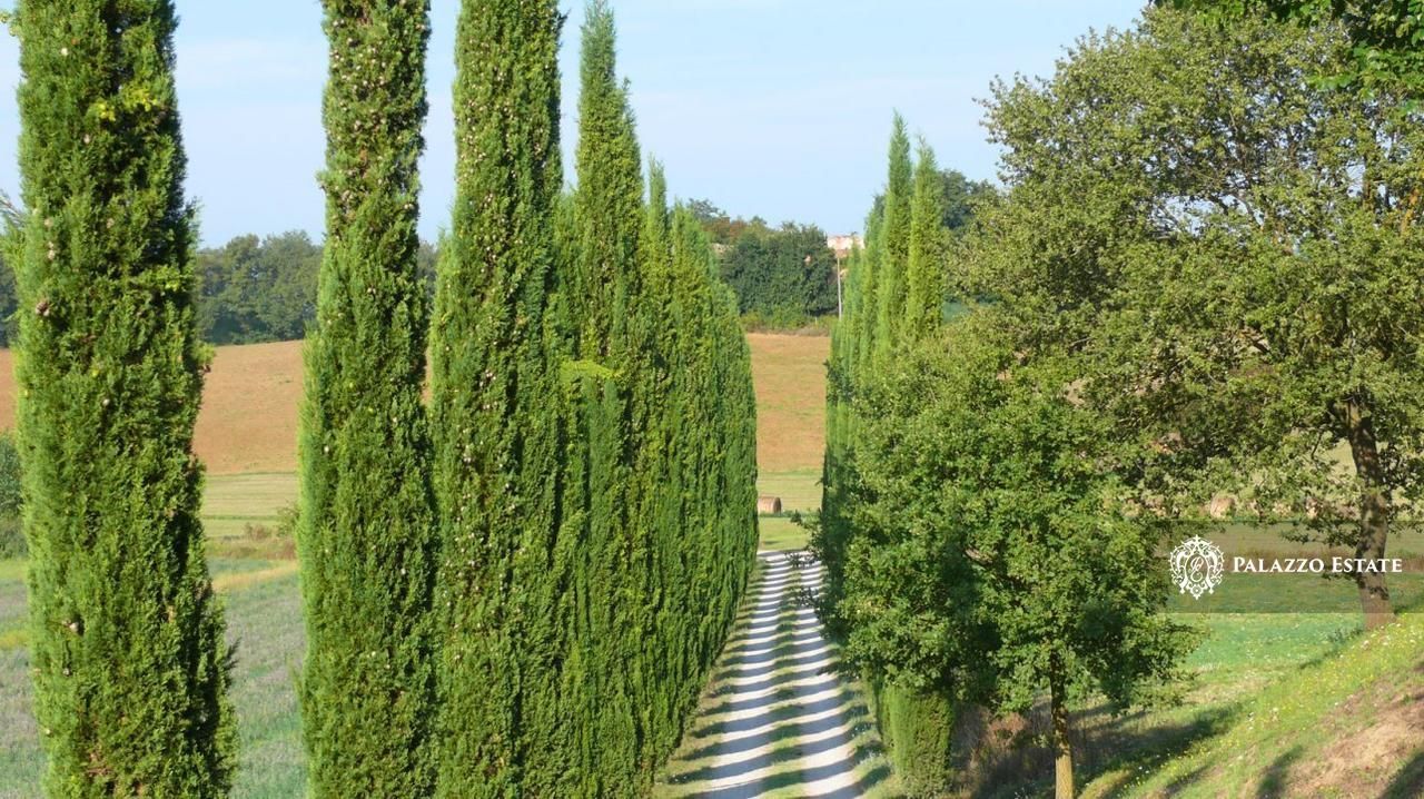 Дом в Кастильоне-дель-Лаго, Италия, 650 м² - фото 7