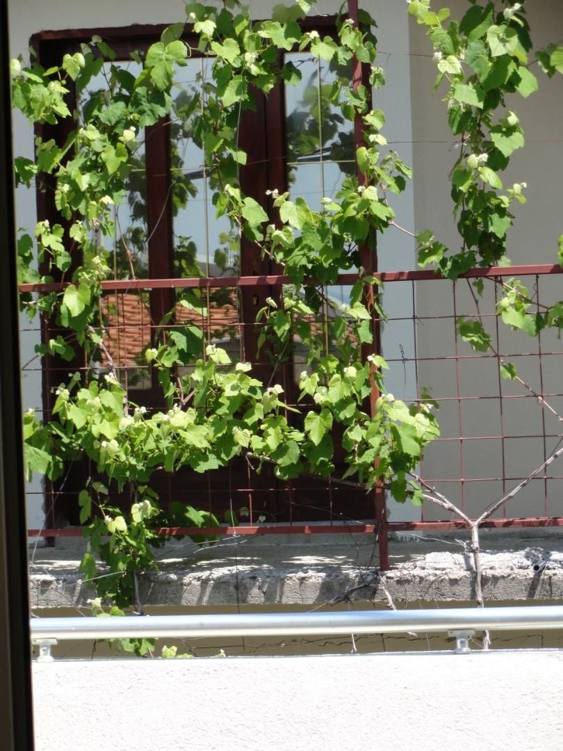 Отель, гостиница Ратац, Черногория, 1 124 м² - фото 14