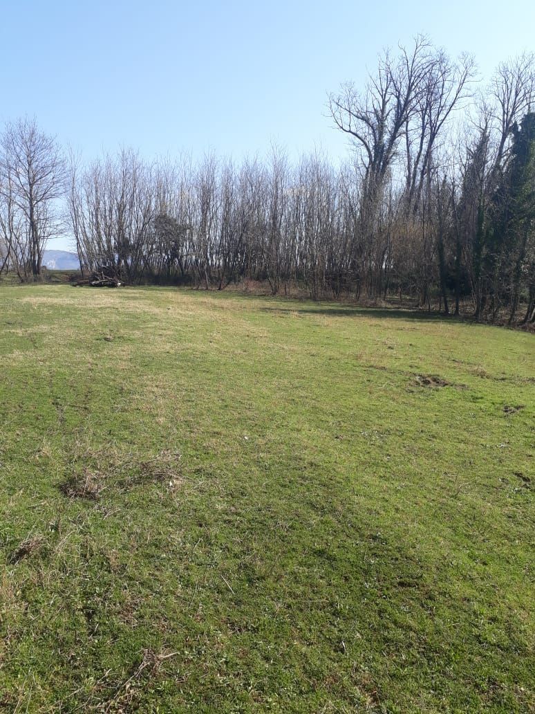 Земля в Даниловграде, Черногория, 2 Га - фото 9