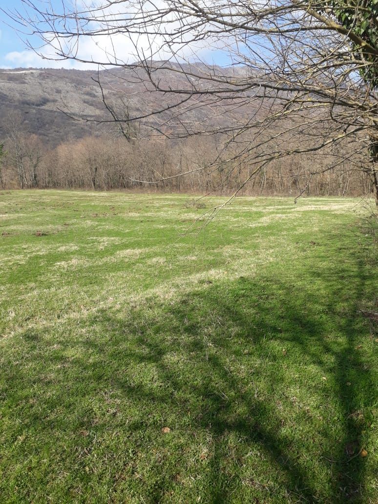 Земля в Даниловграде, Черногория, 2 Га - фото 12