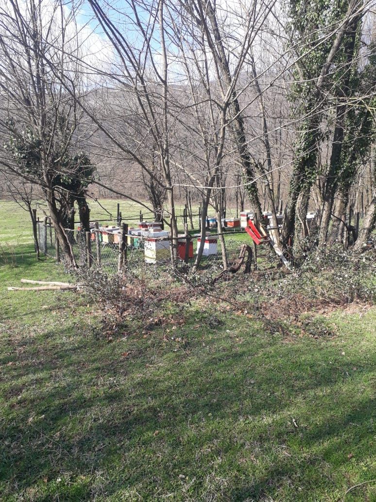 Земля в Даниловграде, Черногория, 2 Га - фото 14