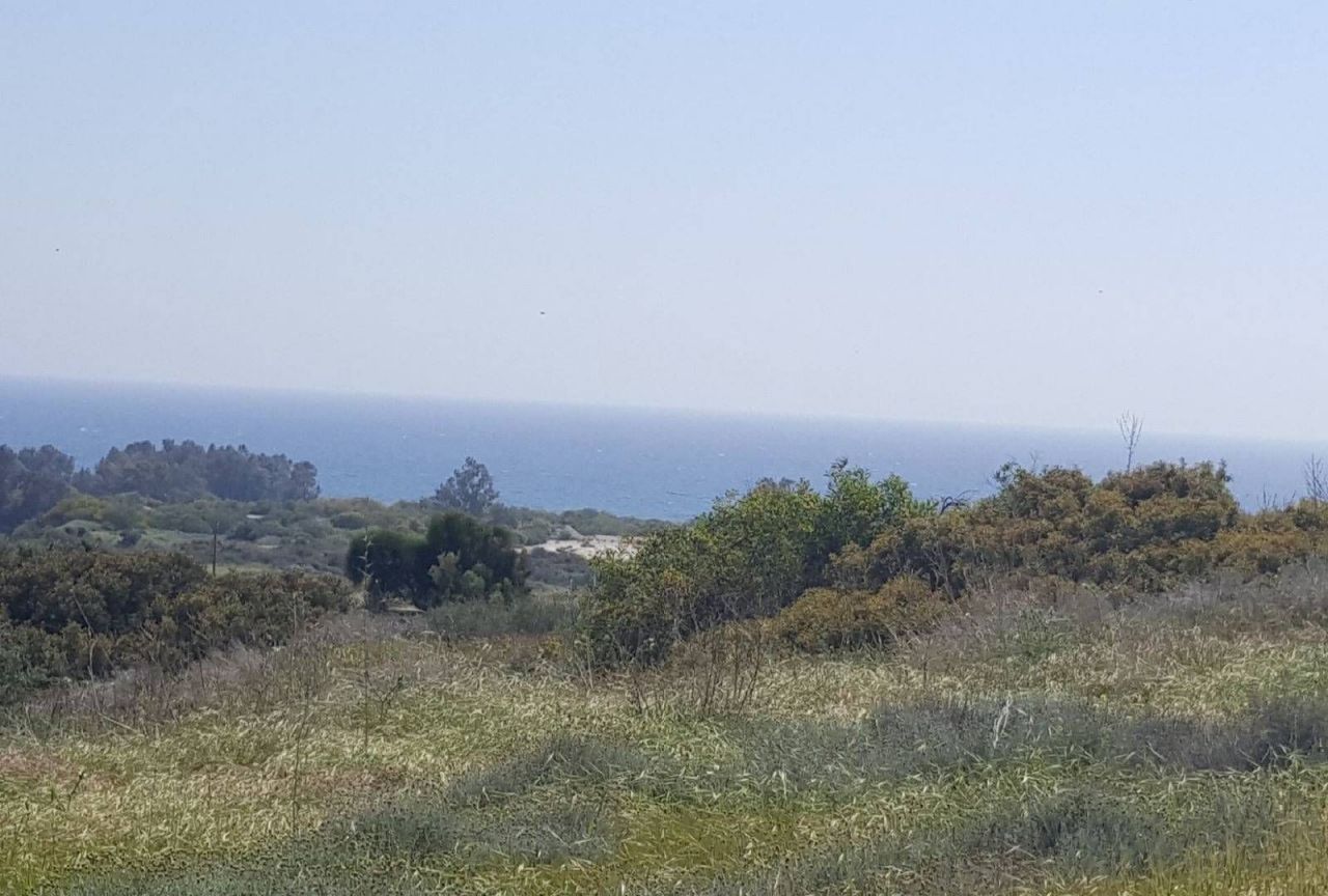 Земля в Лимасоле, Кипр, 10 500 м2 - фото 1