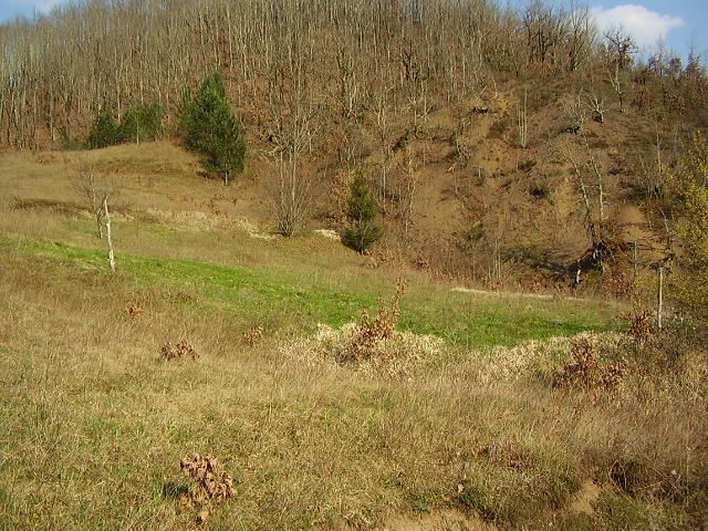 Земля в Колашине, Черногория, 7 Га - фото 4