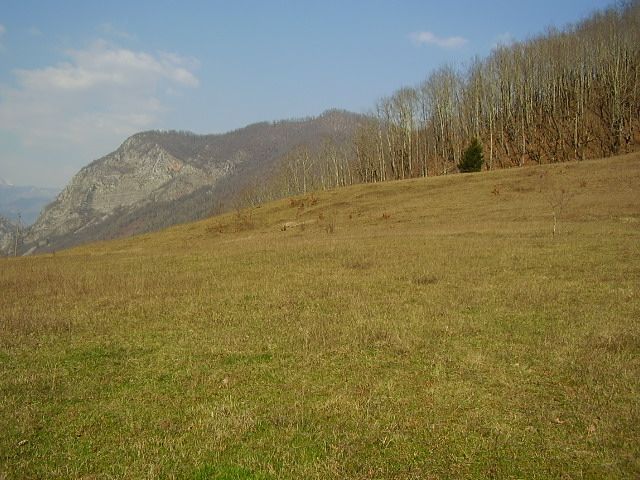 Земля в Колашине, Черногория, 7 Га - фото 6