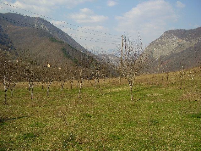 Земля в Колашине, Черногория, 7 Га - фото 10