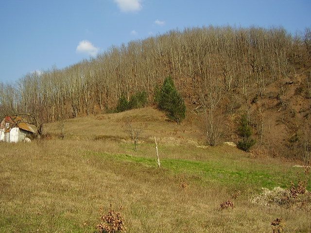 Земля в Колашине, Черногория, 7 Га - фото 5