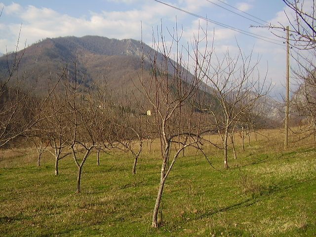 Земля в Колашине, Черногория, 7 Га - фото 11