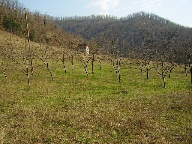 Земля в Колашине, Черногория, 7 Га - фото 13