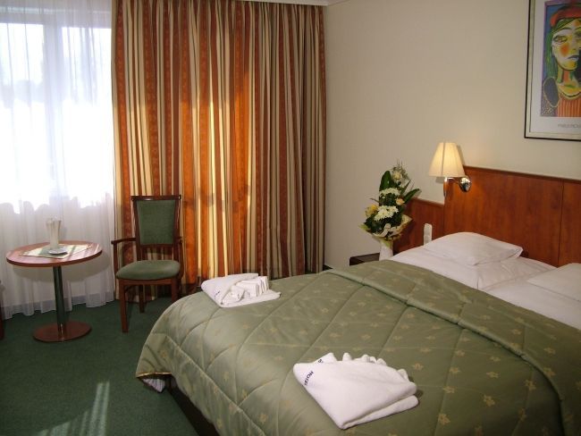 Отель, гостиница в Ньиредьхазе, Венгрия, 17 000 м² - фото 2