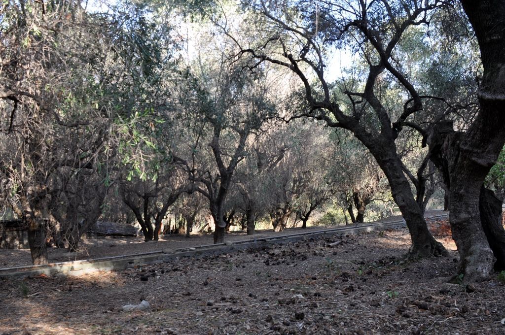 Поместье в Сан-Ремо, Италия, 832 м² - фото 14