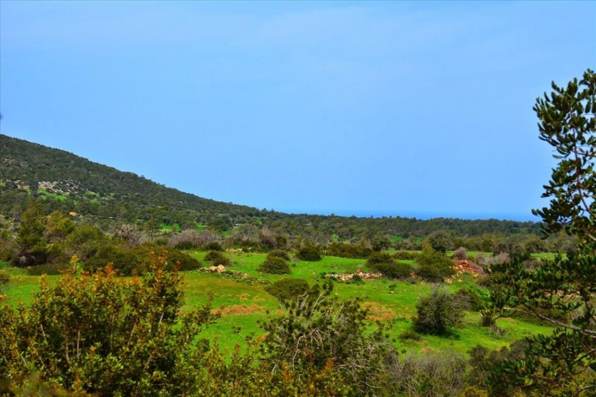 Земля в Пафосе, Кипр, 37 459 сот. - фото 1