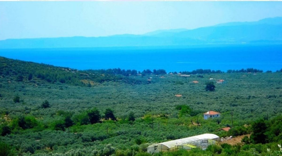 Земля на Северо-Эгейских островах, Греция, 25 000 сот. - фото 1