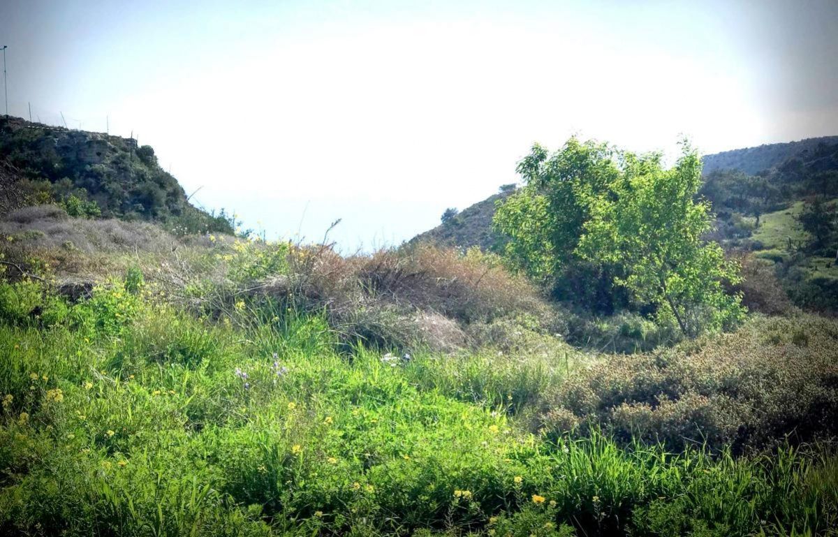 Земля в Лимасоле, Кипр, 12 041 сот. - фото 1