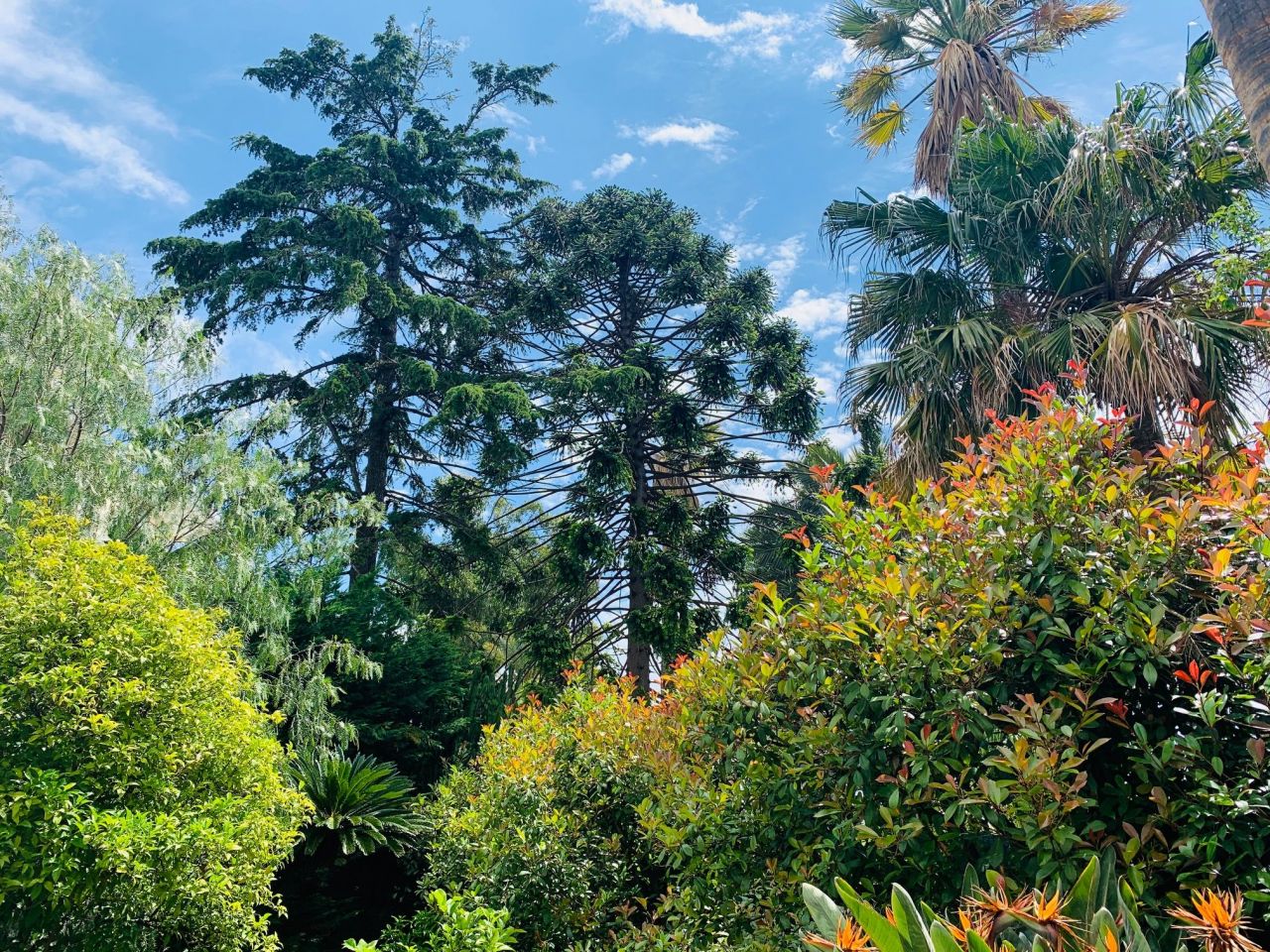 Вилла в Сан-Ремо, Италия, 315 м² - фото 4