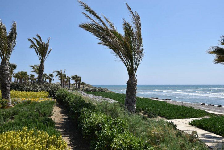 Вилла в Ларнаке, Кипр, 676 м² - фото 13