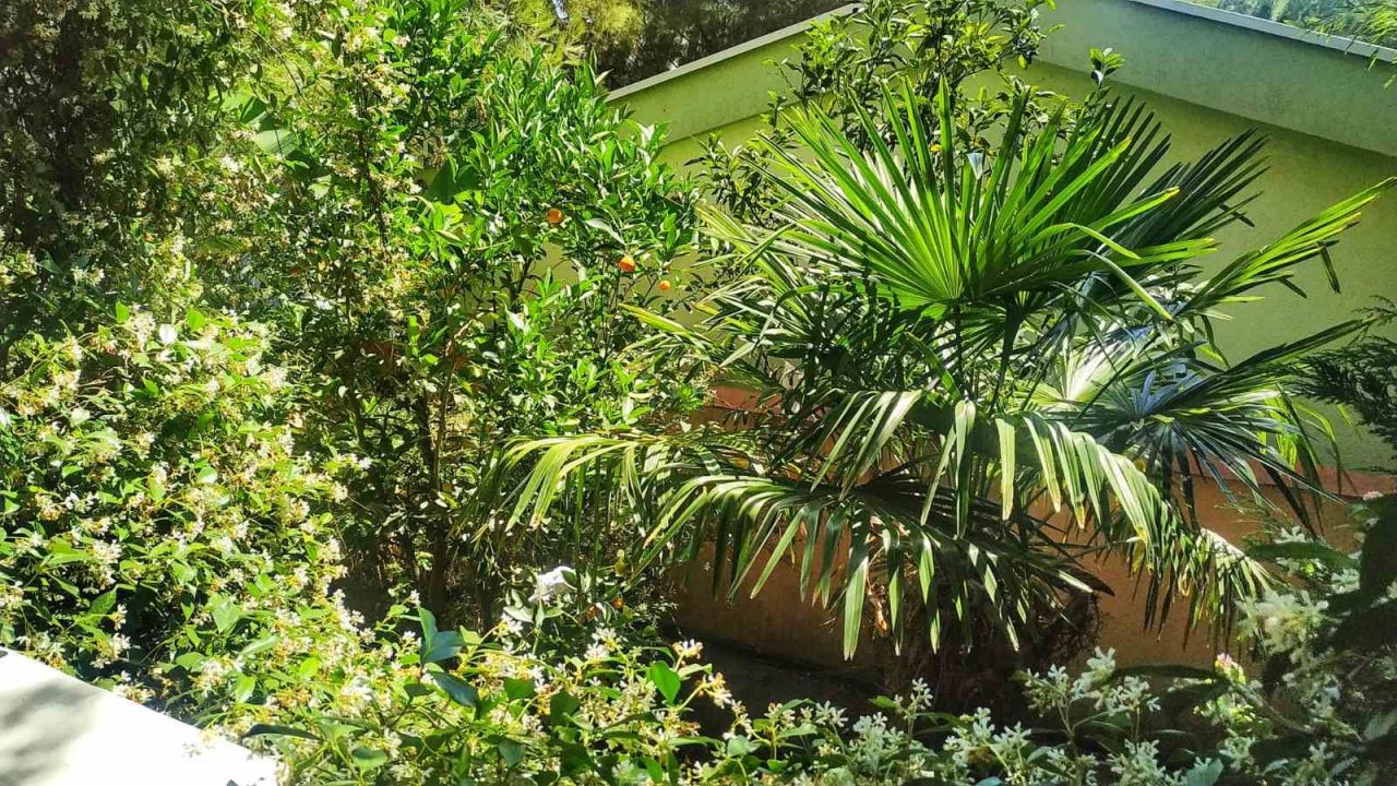 Коммерческая недвижимость Зеленый Пояс, Черногория, 200 м² - фото 5