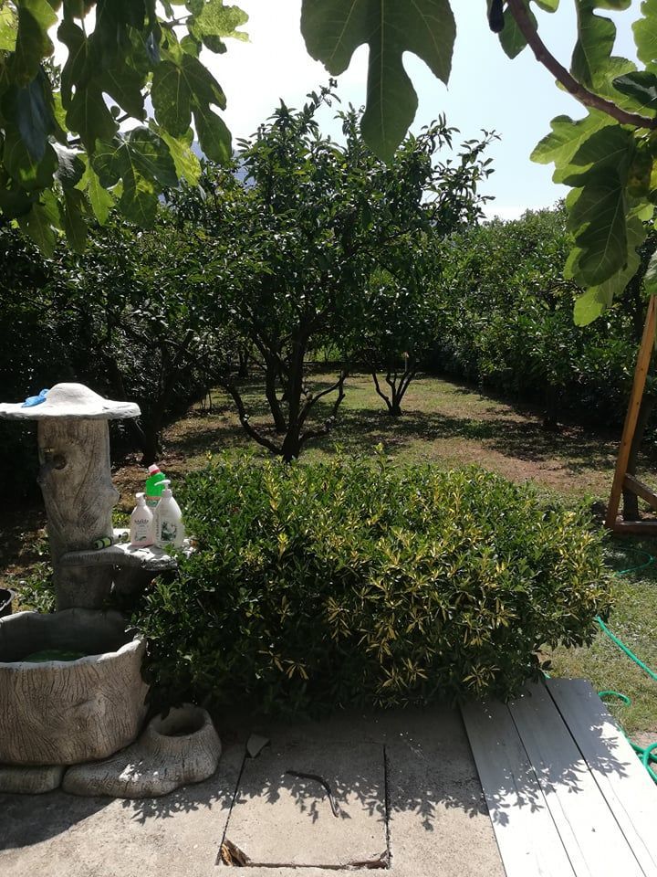 Дом в Баре, Черногория, 1 200 м² - фото 12