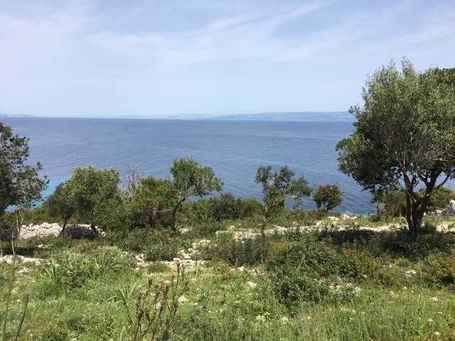 Земля на Корфу, Греция - фото 1