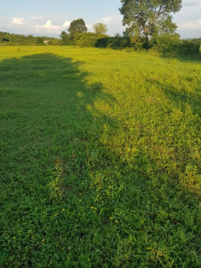 Земля в Даниловграде, Черногория, 18 000 м² - фото 3