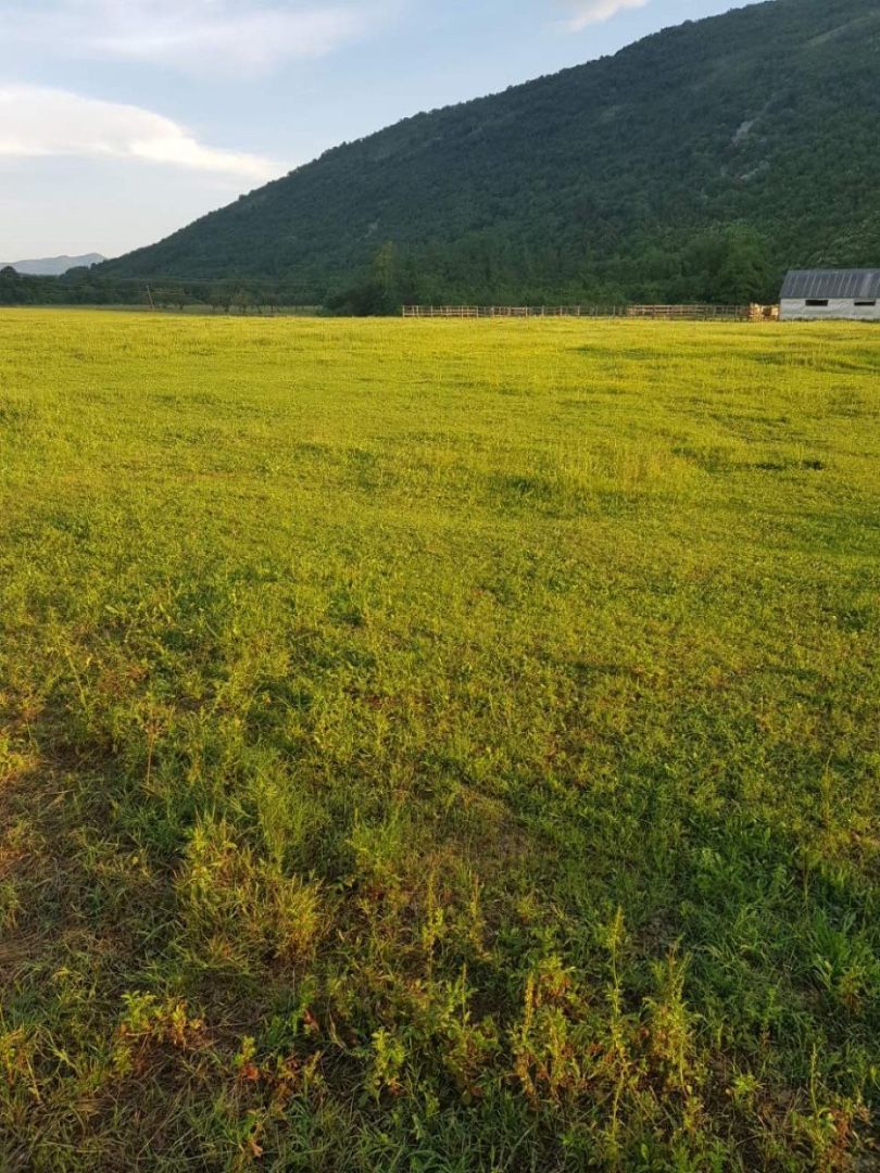 Земля в Даниловграде, Черногория, 18 000 м² - фото 4