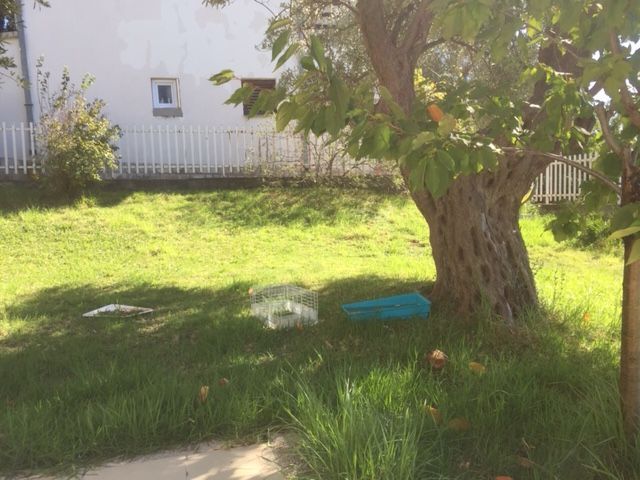 Дом в Баре, Черногория, 133 м² - фото 4