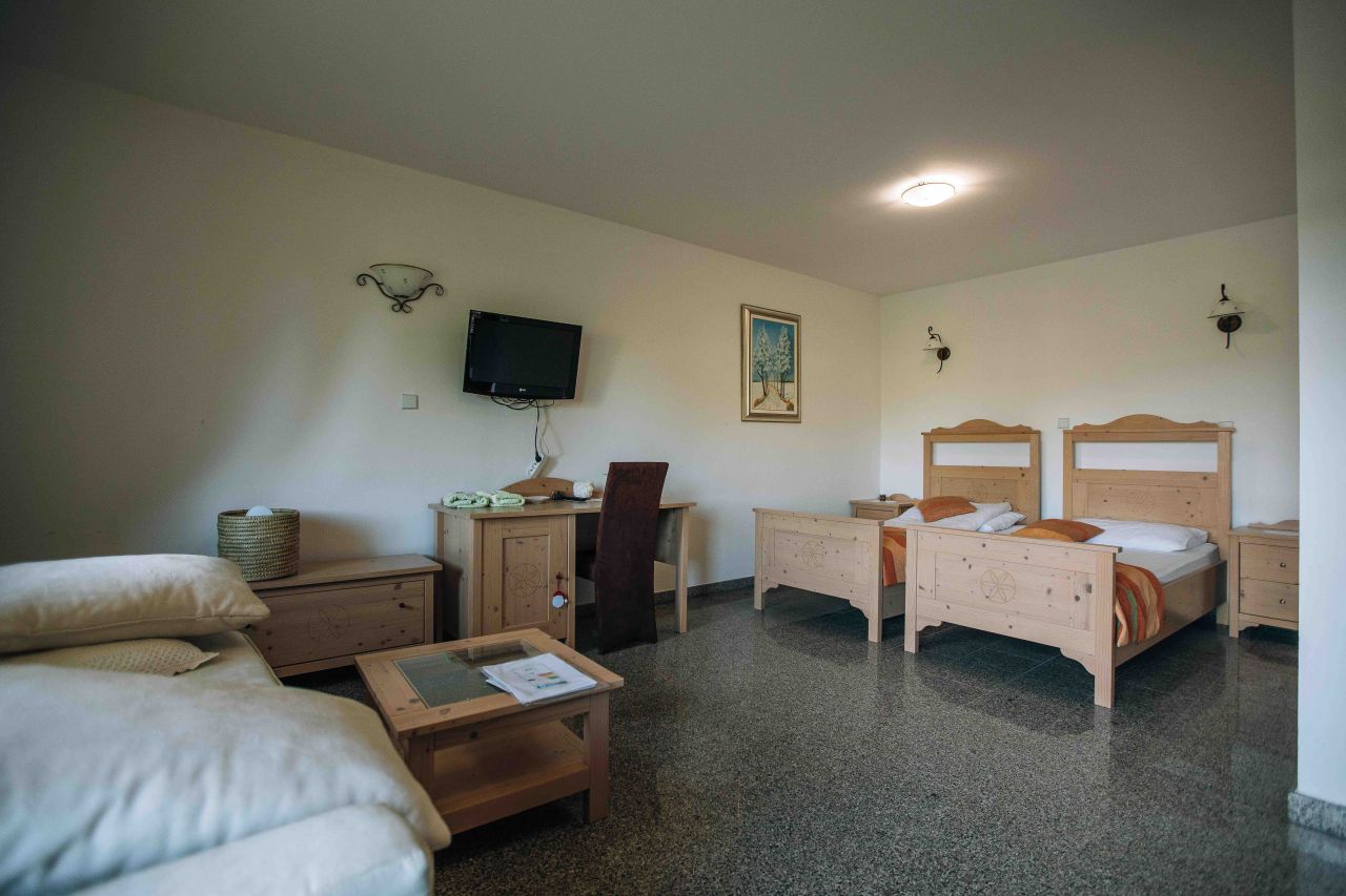 Инвестиционный проект в Муте, Словения, 30 000 м² - фото 10