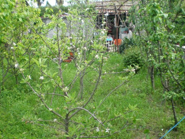 Дом в Баре, Черногория, 129 м² - фото 10