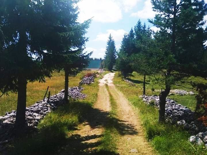 Земля в Колашине, Черногория, 7 Га - фото 15