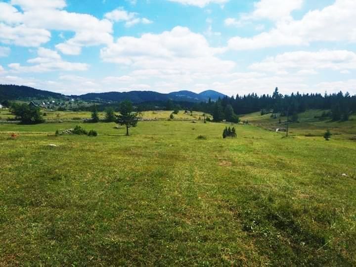 Земля в Колашине, Черногория, 7 Га - фото 16