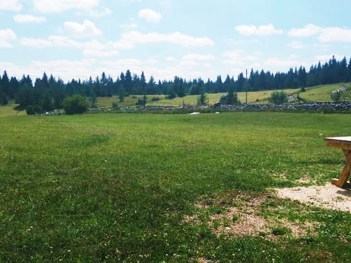 Земля в Колашине, Черногория, 7 Га - фото 17