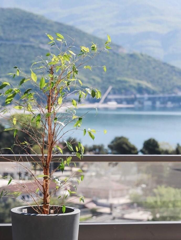 Отель, гостиница в Будве, Черногория, 860 м² - фото 13