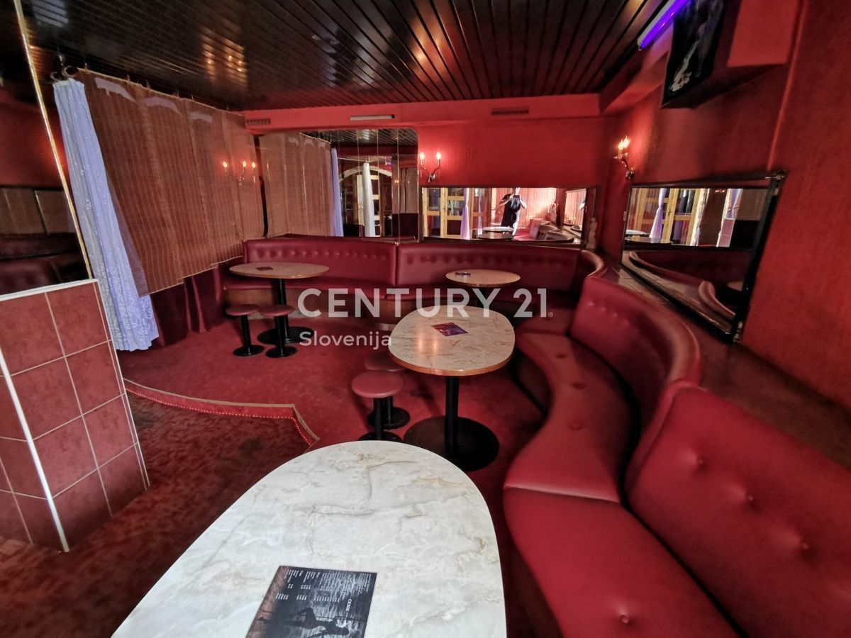 Дом в Горня-Радгоне, Словения, 766 м² - фото 16