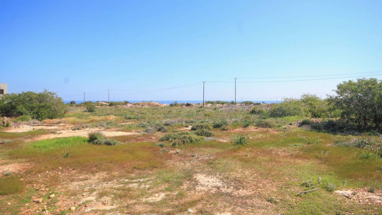 Земля в Протарасе, Кипр, 7 424 м2 - фото 1