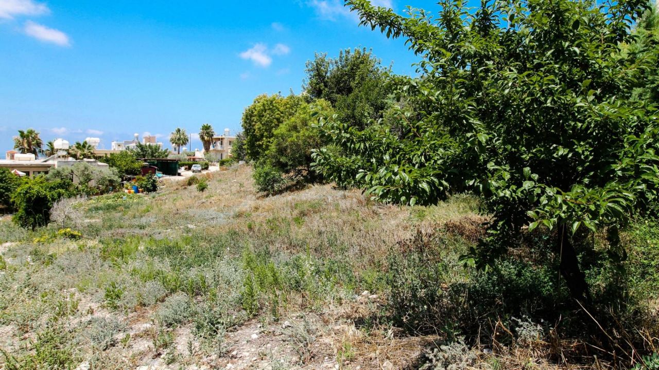 Земля в Тале, Кипр, 1 066 м2 - фото 1