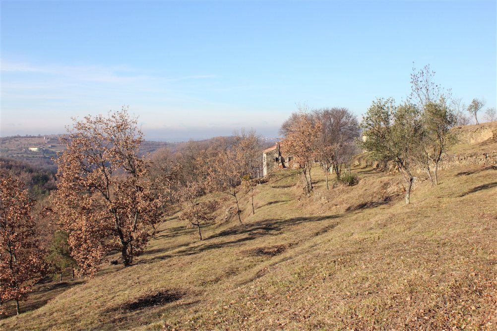 Земля в Буйе, Хорватия, 18 500 м² - фото 3