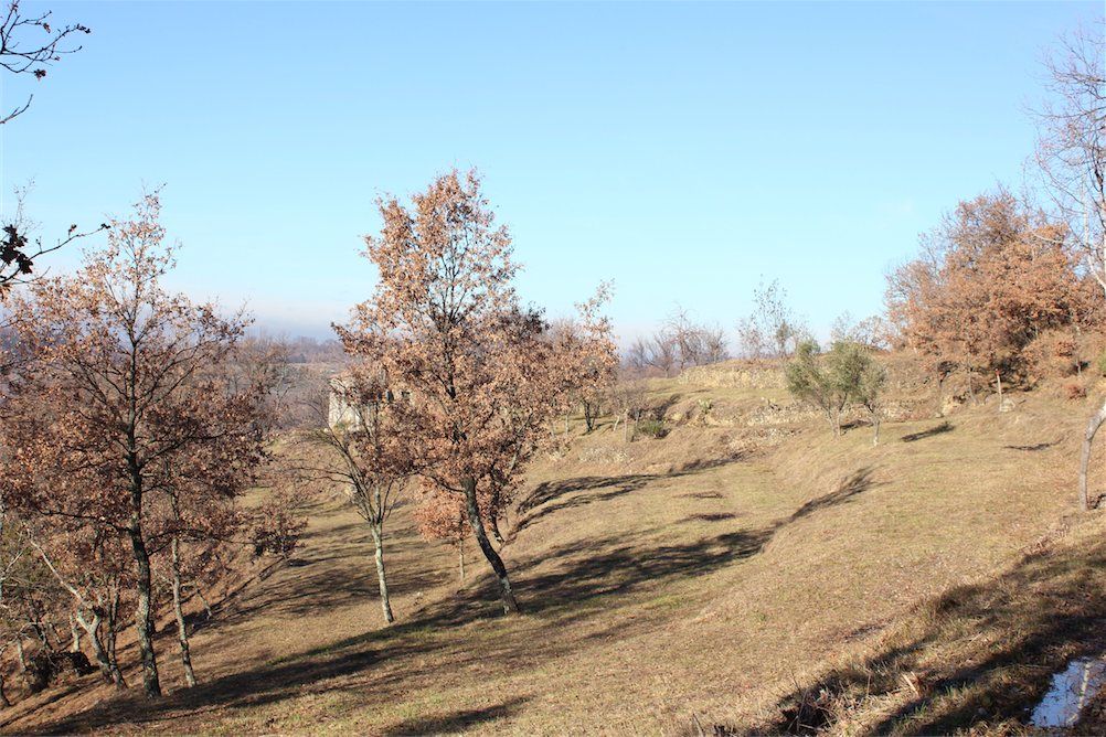 Земля в Буйе, Хорватия, 18 500 м² - фото 2